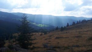 paysage apaisant avec lumière