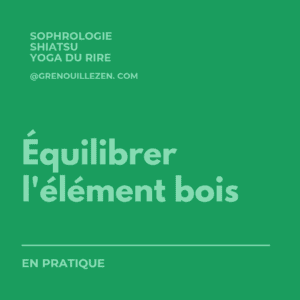 équilibrer l'element bois-grenouille zen