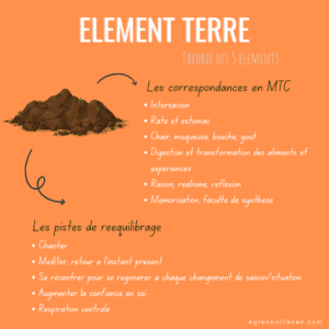 fiche élément Terre en MTC et pistes de réequilibrage -grenouille zen 